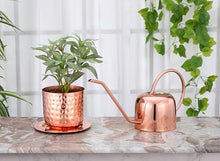 Load image into Gallery viewer, Glytterati - Decorative Watering Can and Planter with Plate