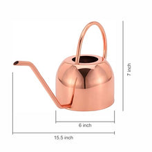 Load image into Gallery viewer, Glytterati- Decorative Watering Can and Planter with Plate
