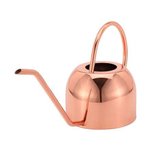 Load image into Gallery viewer, Glytterati- Decorative Watering Can and Planter with Plate