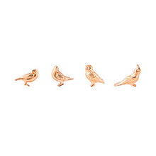 Load image into Gallery viewer, Three By Three Seattle Solid Cast Bird Magnets Copper Pack of 4 (22233)