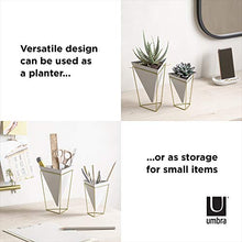 Load image into Gallery viewer, Umbra Trigg Geometric Planter, Wall and Desk Decor Ceramic Containers and Vases-for Succulents, Air, Mini Cactus, Faux Plant, White/Brass