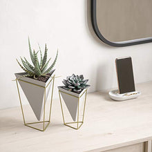 Load image into Gallery viewer, Umbra Trigg Geometric Planter, Wall and Desk Decor Ceramic Containers and Vases-for Succulents, Air, Mini Cactus, Faux Plant, White/Brass