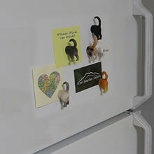 Load image into Gallery viewer, Evelots Refrigerator Magnets-Cat Butts-Photo/Key Holder-6 Popular Breeds-Set/6