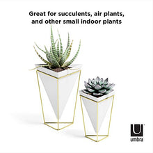 Load image into Gallery viewer, Umbra Trigg Geometric Planter, Wall and Desk Decor Ceramic Containers and Vases-for Succulents, Air, Mini Cactus, Faux Plant, White/Brass