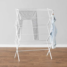 Load image into Gallery viewer, Amazon Basics Foldable Clothes Drying Laundry Rack - White