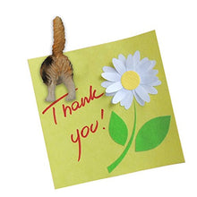 Load image into Gallery viewer, Evelots Refrigerator Magnets-Cat Butts-Photo/Key Holder-6 Popular Breeds-Set/6