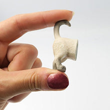 Load image into Gallery viewer, Evelots Refrigerator Magnets-Cat Butts-Photo/Key Holder-6 Popular Breeds-Set/6