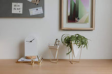 Load image into Gallery viewer, Umbra Trigg Geometric Planter, Wall and Desk Decor Ceramic Containers and Vases-for Succulents, Air, Mini Cactus, Faux Plant, White/Brass