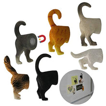 Load image into Gallery viewer, Evelots Refrigerator Magnets-Cat Butts-Photo/Key Holder-6 Popular Breeds-Set/6