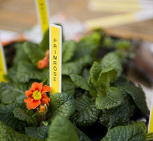 Load image into Gallery viewer, Brother P-touch, PTD210, Easy-to-Use Label Maker, One-Touch Keys, Multiple Font Styles, 27 User-Friendly Templates, White