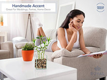 Load image into Gallery viewer, Royal Imports Flower Glass Vase Decorative Centerpiece for Home or Wedding Flat Rectangle Plate Glass, 4" W x 5" H, Clear