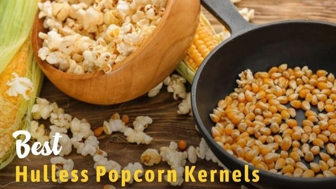 16 Best Hulless Popcorn Kernels: Reviews & Buying Guide