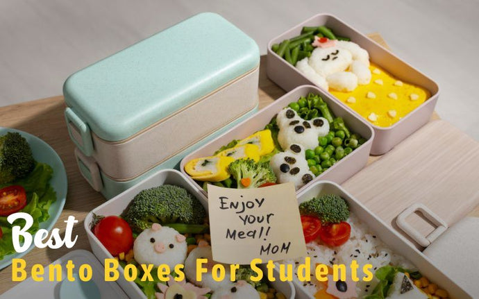 17 Best Bento Boxes Every Student Needs In 2023: Reviews & Buying Guide