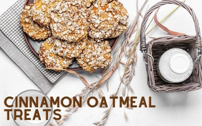 Cinnamon Oatmeal Treats Recipe