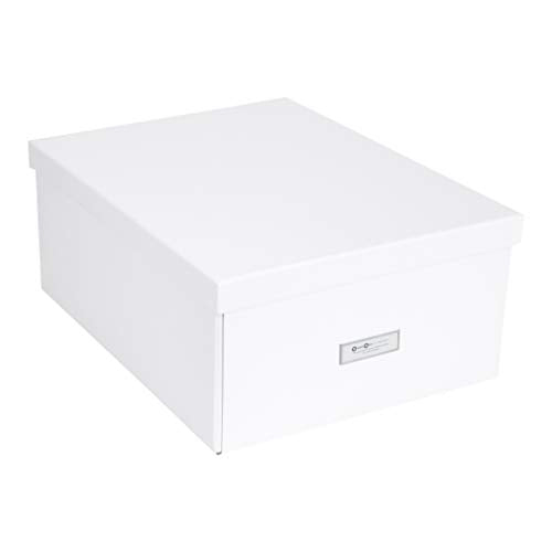 Bigso Katrin Collapsible Storage Box, 13.5 x 17.6 x 7.2 Inches, White