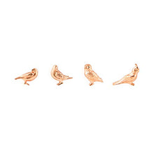 Load image into Gallery viewer, Three By Three Seattle Solid Cast Bird Magnets Copper Pack of 4 (22233)
