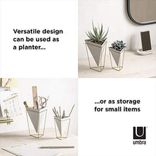 Load image into Gallery viewer, Umbra Trigg Geometric Planter, Wall and Desk Decor Ceramic Containers and Vases-for Succulents, Air, Mini Cactus, Faux Plant, White/Brass
