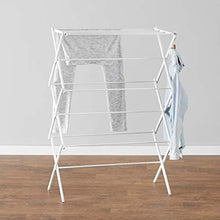 Load image into Gallery viewer, Amazon Basics Foldable Clothes Drying Laundry Rack - White
