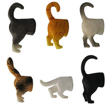 Load image into Gallery viewer, Evelots Refrigerator Magnets-Cat Butts-Photo/Key Holder-6 Popular Breeds-Set/6
